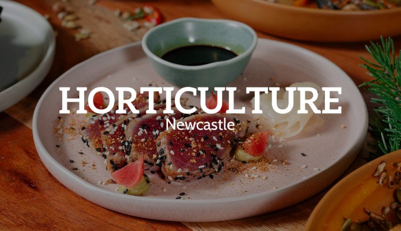 Selection of meals from Horticulture Newcastle