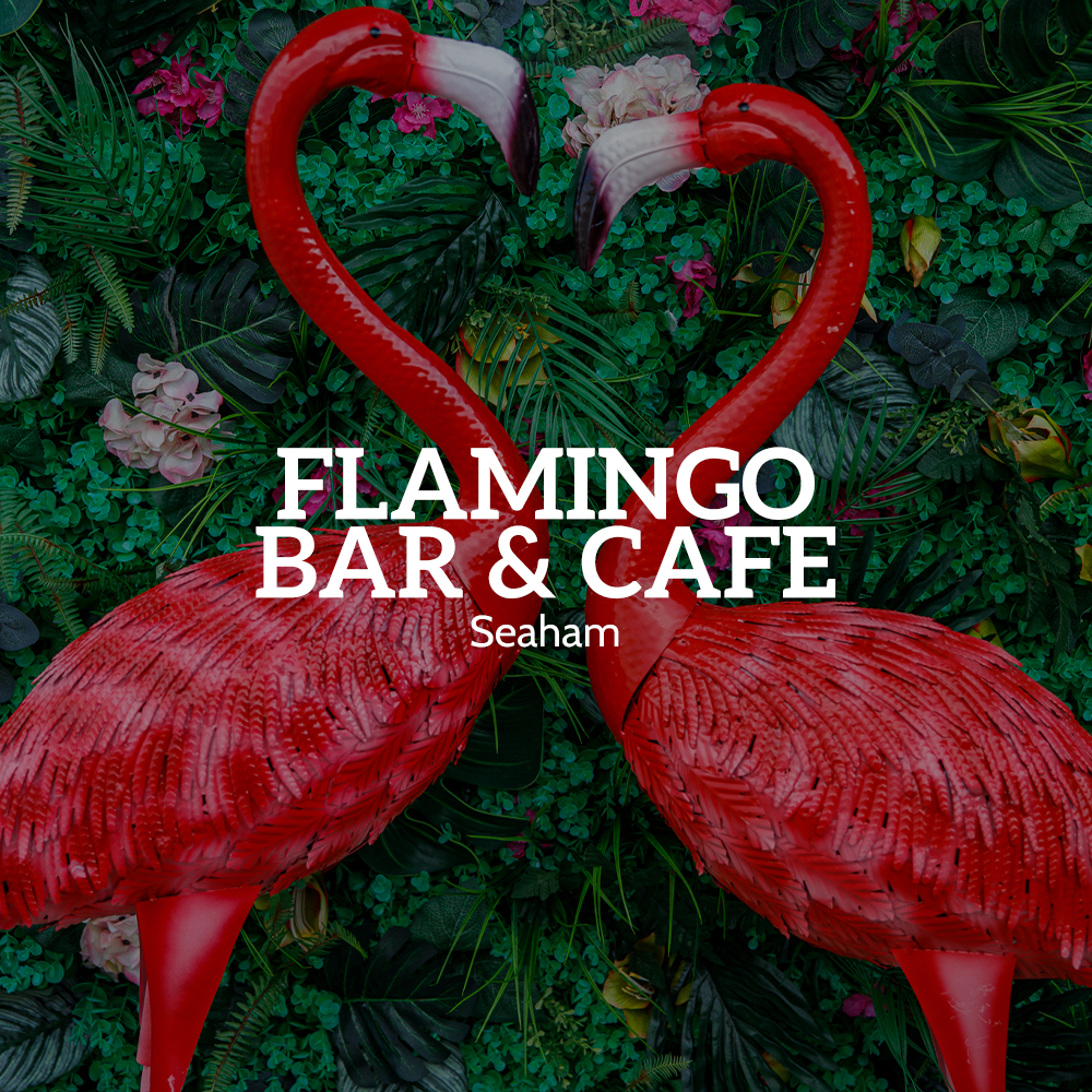 Flamingo Bar and Cafe - Snapsaver